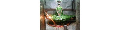 ரிஷிவந்தியம்